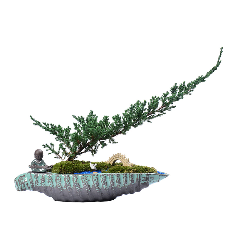 Large caliber meat platter flowerpot more ceramic creative desktop calamus green plant indoor asparagus potted landscape bonsai POTS