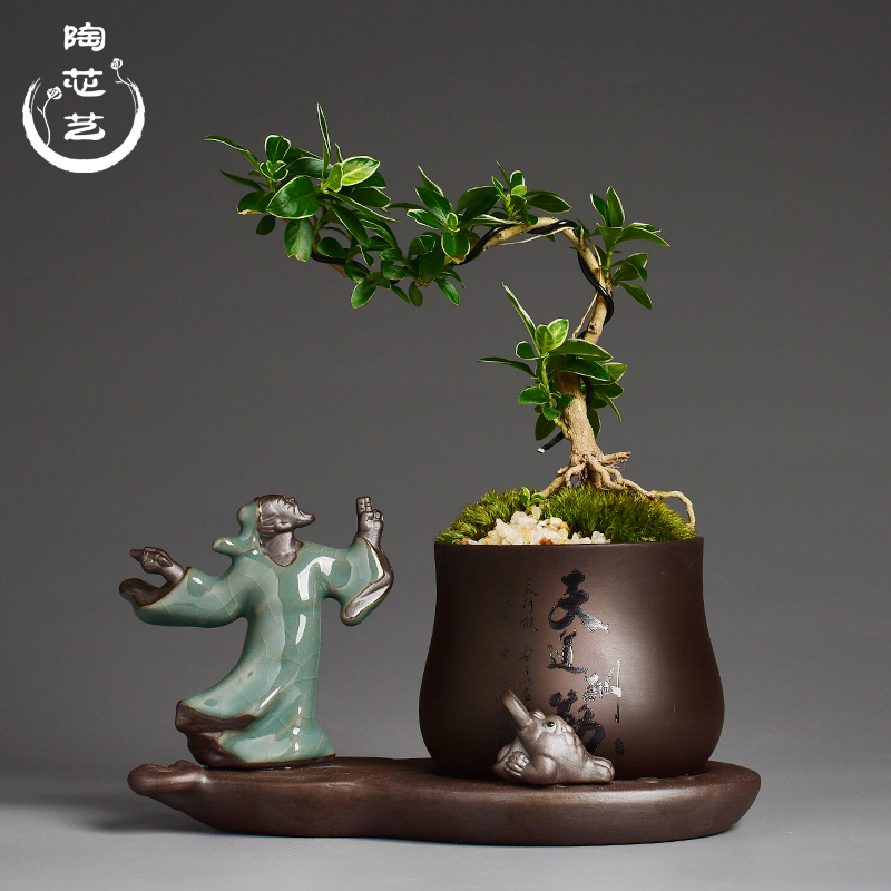 Zen purple sand flowerpot more meat little monks combination asparagus potted bonsai the plants household creative desktop small place