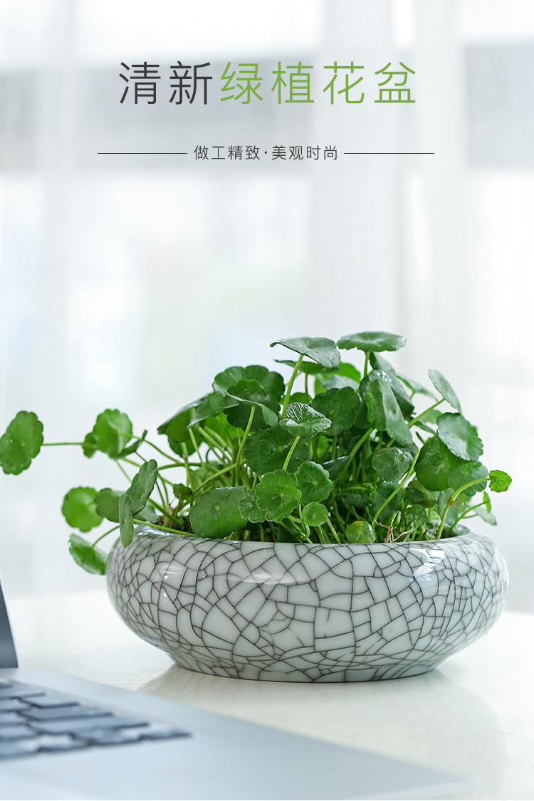 Creative large round nonporous refers to flower pot ceramic meaty plant POTS elder brother up with open hydroponic copper wire grass flower pot