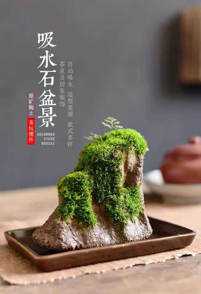 Hydroponic micro landscape moss landscaping the plants flower pot desktop furnishing articles coarse pottery suction stone rockery miniascape family decoration