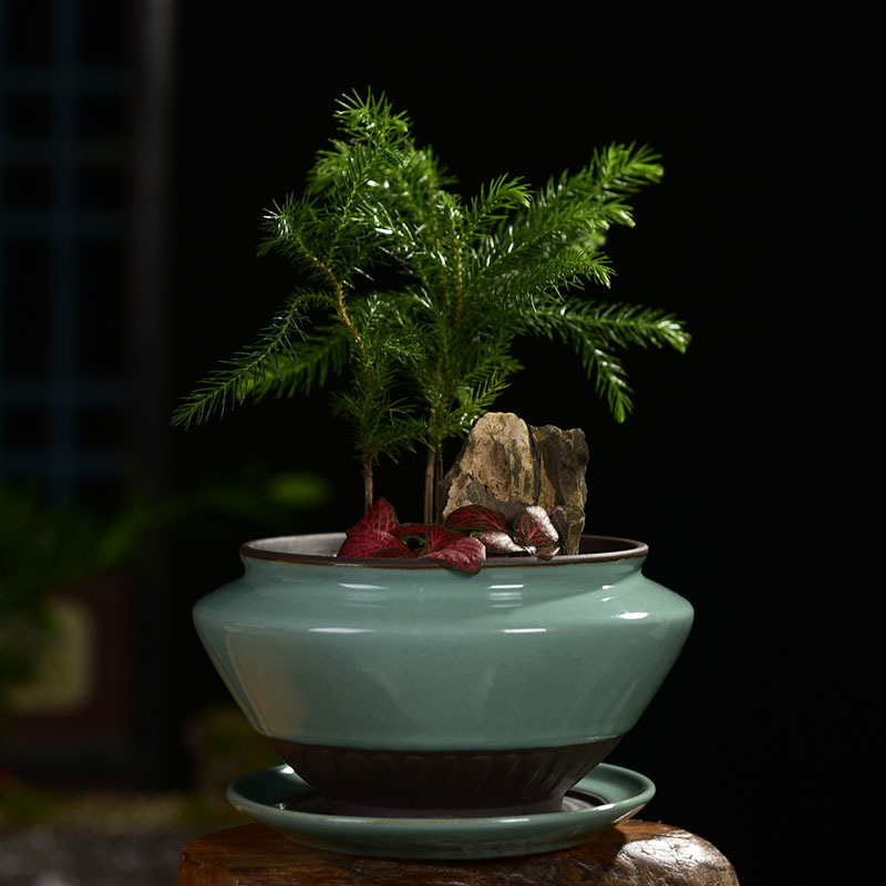 Creative ceramic flower POTS with tray was contracted household basin grow rich tree orchids dedicated desktop green plant pot