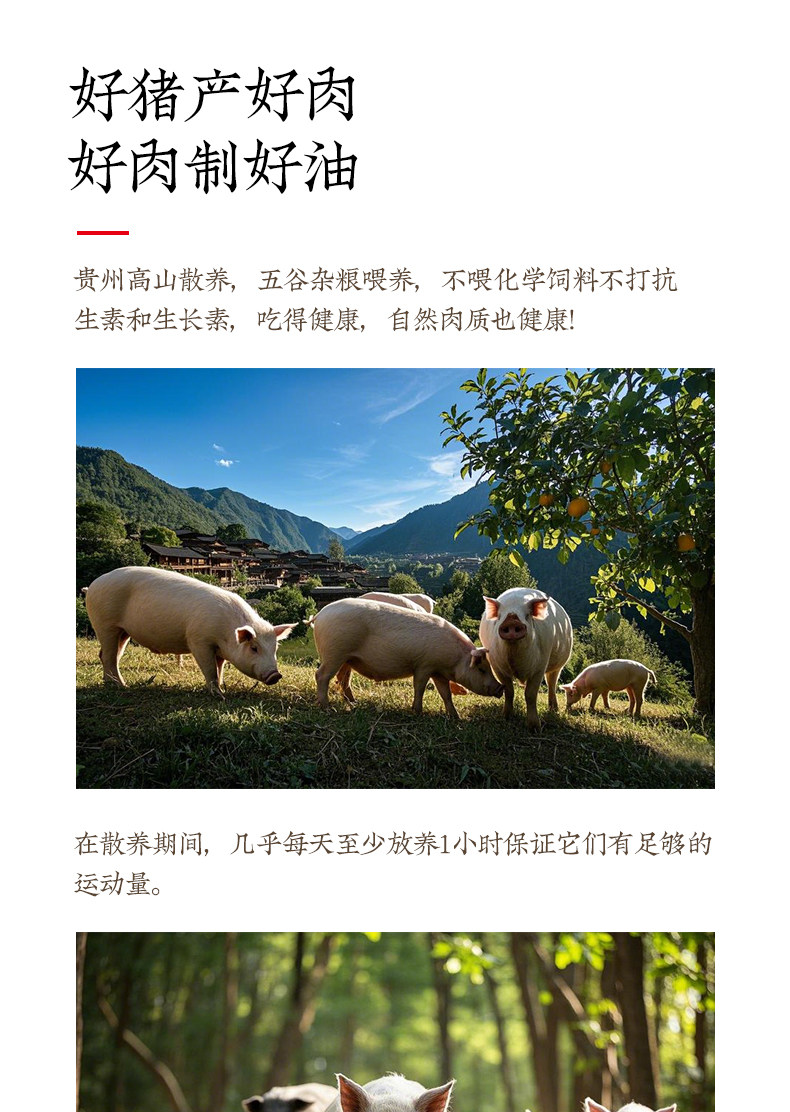 安享好物 安享A级猪油-大山福利猪油 国标 