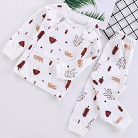 8223 Кофейное дерево