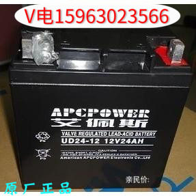 APCPOWER Apes battery 12v24ah UD24-12 valve-controlled sealed battery spot