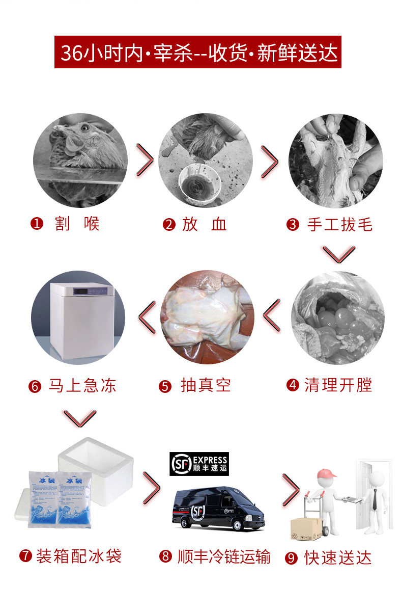 态谷食代 生态散 3个月 襄阳三黄鸡 2.5斤*2只 图4