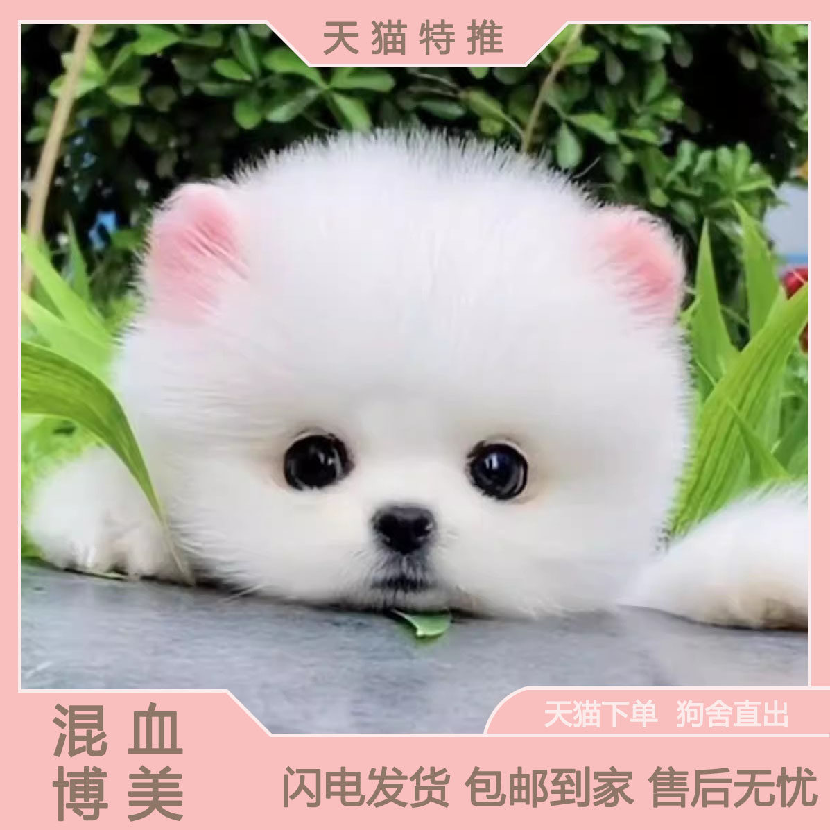 AI 红包封面预览- by AI 红包封面生成器｜ AI Cover, image size:1197x1197