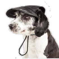 Pet Life Cap-Tivating UV Protective Adjustable Fashion Dog Cap - Jet Black