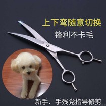 Dog haircut scissors Teddy beauty scissors cat pet cutting tools than bear Bomei tooth scissors and comb