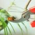Gu Liu Xuan Làm vườn Cành dày Cắt tỉa Kéo hoa cắm hoa Cửa hàng hoa Cung cấp trái cây và rau quả hái hoa Chi nhánh cắt - Nguồn cung cấp vườn bình xịt cây Nguồn cung cấp vườn
