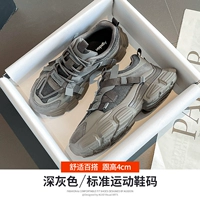 231061 Deep Grey [Double Network Four Seasons]