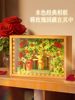 Little Prince Rose Building Block Puzzle Abyss Mirror Photo Frame Ornament Handmade Assembly Adult Version Toy Girl's Birthday Gift