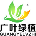 广叶绿植花卉园艺