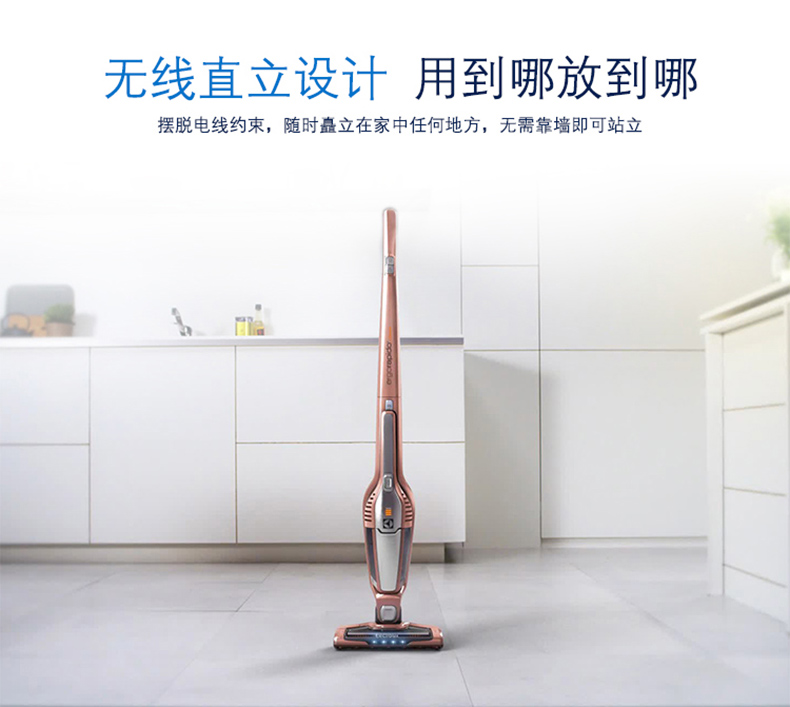 Máy hút bụi Electrolux không dây cầm tay không dây mạnh mẽ Máy hút bụi mini nhỏ không dây ZB3114 - Máy hút bụi máy hút bụi robot