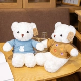 Подарочная коробка, кукла, плюшевая игрушка подходит для мужчин и женщин для друга, с медвежатами, подарок на день рождения