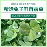 Pet Rabbits Fresh Herdsa, Kaponine, голландская свинья Fresh Sprum 2 фунта