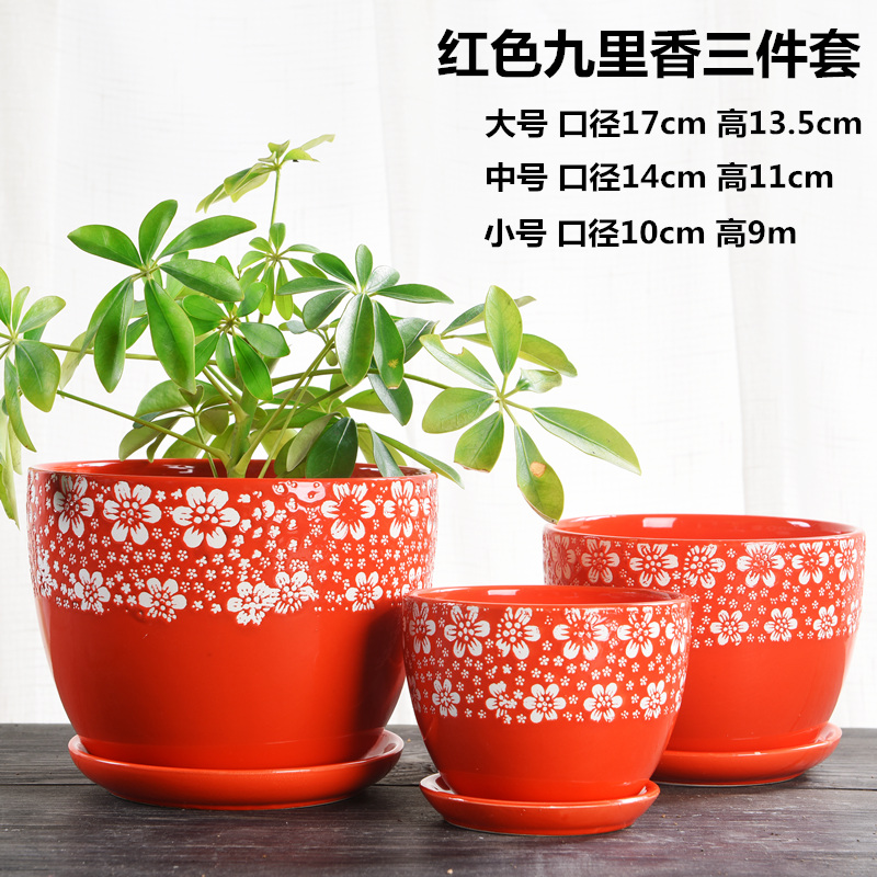 Chinese style wedding festival red ceramic large flowerpot more than other meat special butterfly orchid flower seedlings and potted flower pot