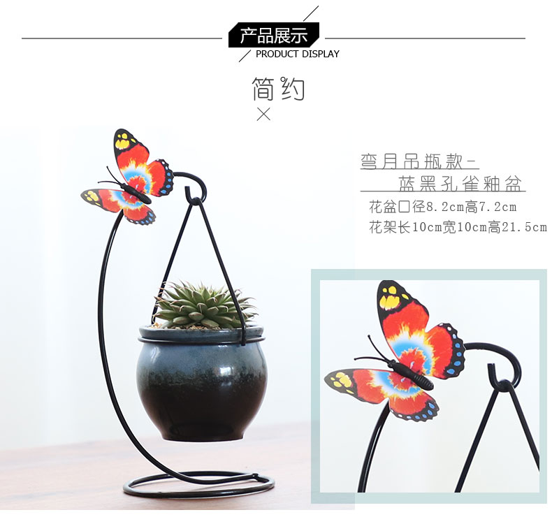 Fleshy flowerpot ceramic package mail creative move hanging the plants, wrought iron contracted indoor hanging shelf flesh POTS