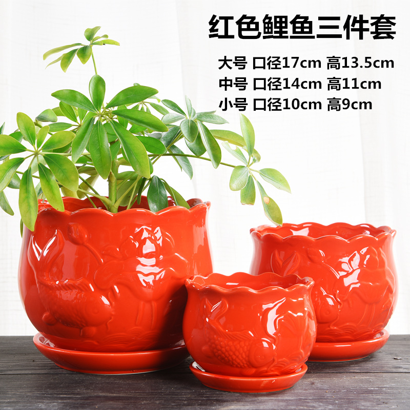 Chinese style wedding festival red ceramic large flowerpot more than other meat special butterfly orchid flower seedlings and potted flower pot