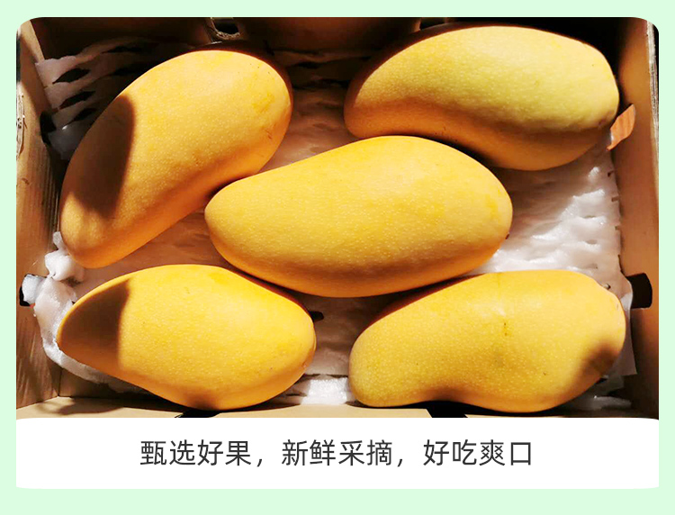 海南 金煌芒芒果 净重8斤 图6
