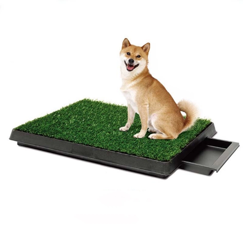 Фуальная подушка для туалета для собак.