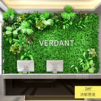 Богатая зеленая луковая клетка