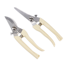 Branch cutting scissors special flower scissors gardening garden pruning gardener scissors powerful picking labor-saving fruit tree pruning 824
