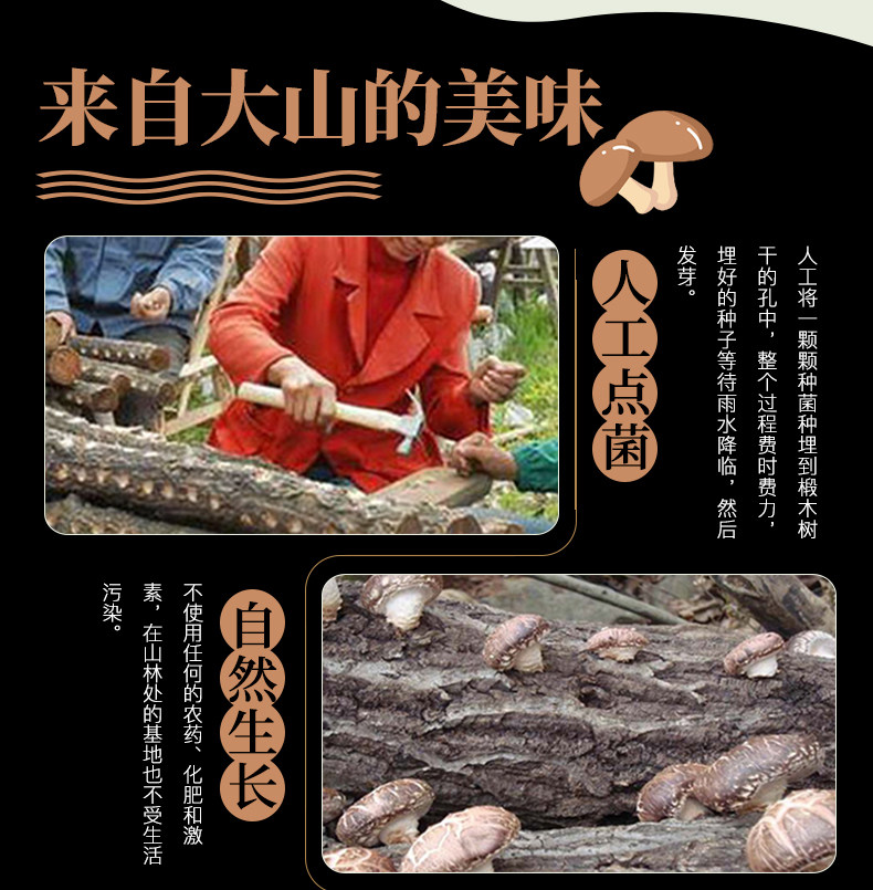 舌尖上的中国推荐食材 武当山珍 房县神农架椴木花菇干货 200g 图5