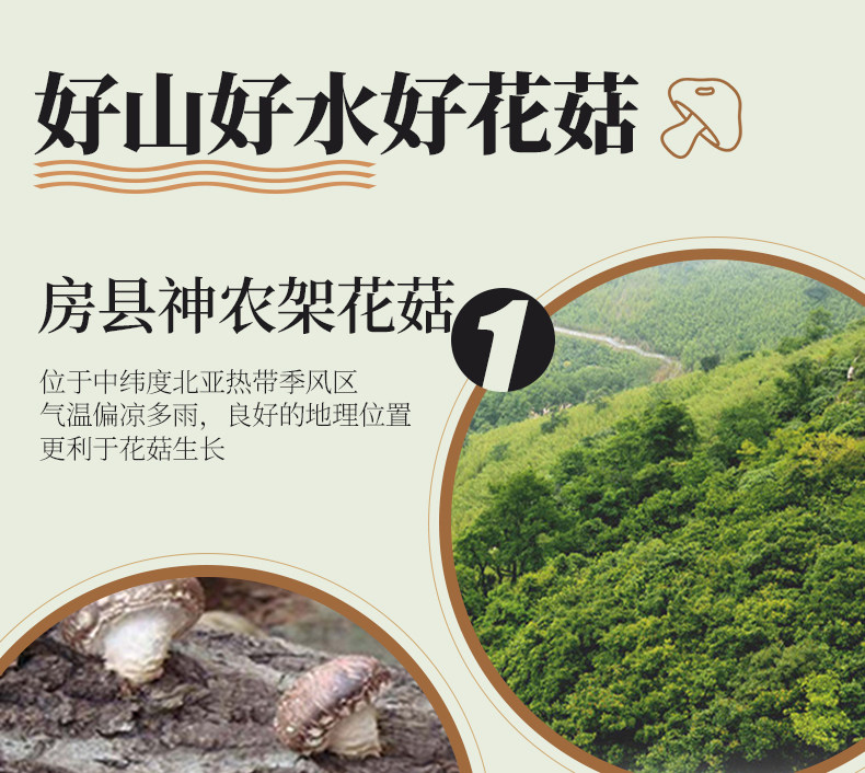 舌尖上的中国推荐食材 武当山珍 房县神农架椴木花菇干货 200g 图3