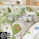 Quilt with Quilt Cover Two-In-One, Air-Conditioned Quilt, Suitable for All Seasons, Student Dormitory, Single/Double, Spring and Autumn Thickened Quilt Core, Winter Quilt