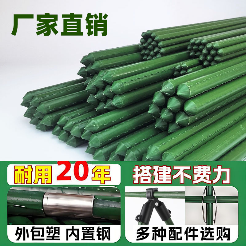 Climbing Trellis for Beans, Beansprouts, Grapes, Cucumbers, Flower Stand, Support Pole, Clematis, Garden, Outdoor, Rooftop, Vegetable Planting