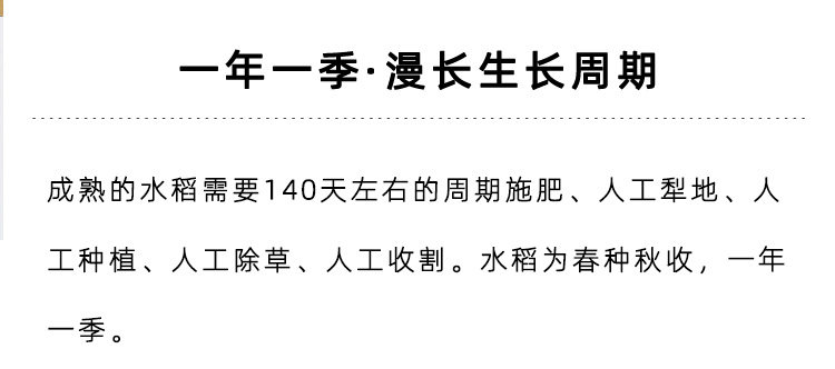 index_02.jpg