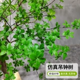 Большое моделирование моделирования висит часовые дерева лошадь пьяное деревянное внутреннее и внешнее патио Украшение