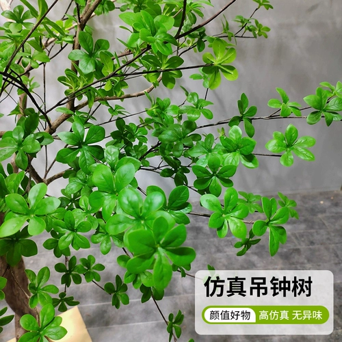 Большое моделирование моделирования висит часовые дерева лошадь пьяное деревянное внутреннее и внешнее патио Украшение