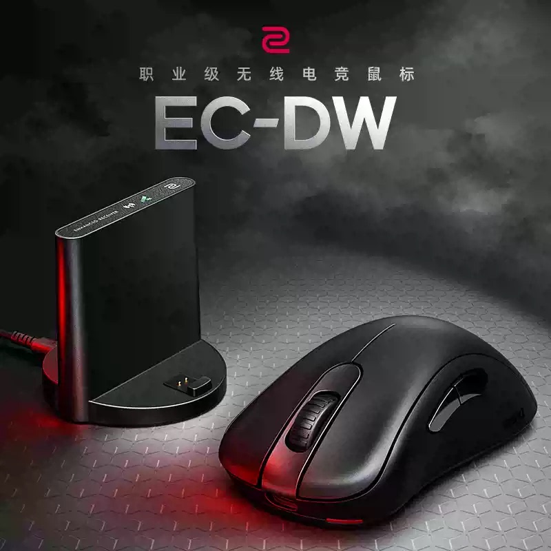 [Official Genuine Product] Zowie Ec/Fk/Za/S/U2Dw Gray and White Gaming Wireless Mouse Cs Valorant