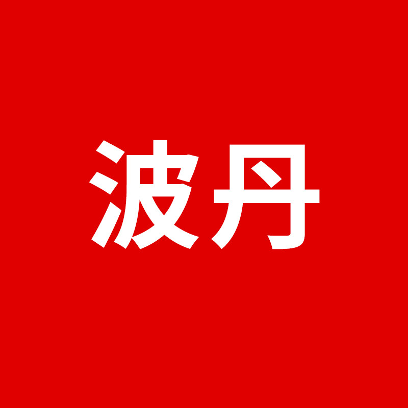 波丹车品旗舰店