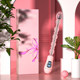 Electric Erotic Anal Plug, Anal Toy, Fairy Crystal Wand, Anal Plug for Insertion into the Anus, Masturbation Sex Toy