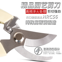Garden tools flowers and trees pruning branches scissors fruit tree scissors pruning shears flower branches gardening scissors
