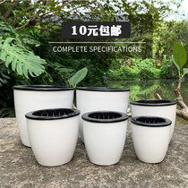 Automatic absorbent lazy flower pot White dinosaur egg pot green water culture flower pot plastic water culture simple flower pot