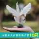 Lông lớn màu trắng đá cầu tóc thẳng trẻ em mẫu giáo học sinh tiểu học cuộc thi đá cầu chuyên nghiệp tập luyện thể dục chuyên nghiệp - Các môn thể thao cầu lông / Diabolo / dân gian