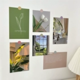 INS WIND FRANK WALL CARD CARD CAFE CAFE B & B Мягкая формация