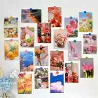 «Нежность цветов» поставляется в наборе из 30 листов с точечными наклейками.