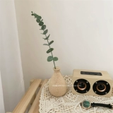 Стиль ins древний эвкалипт деньги листья ветви маленькие свежие имитация зеленых растений искусственные цветочные украшения цветочные композиции украшения в скандинавском стиле