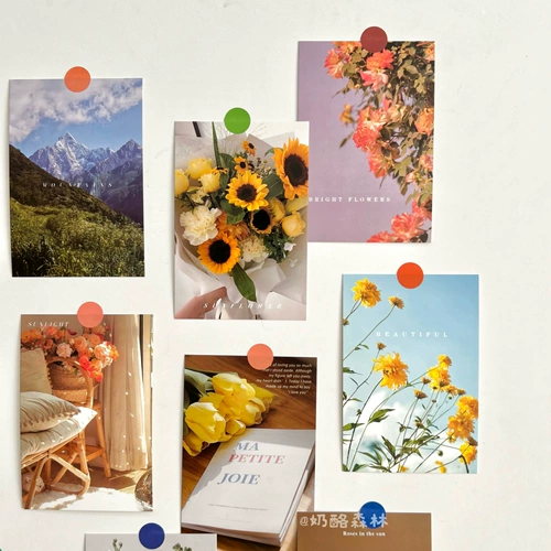 Пейзаж содержит 30 цветочных иллюстраций, поздравительных открыток, литературных и свежих настенных украшений, постановочных открыток и наклеек.