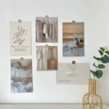 INS WIND FRANK WALL CARD CARD CAFE CAFE B & B Мягкая формация