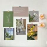 INS WIND FRANK WALL CARD CARD CAFE CAFE B & B Мягкая формация