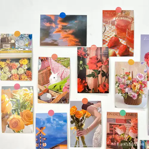 Пейзаж содержит 30 цветочных иллюстраций, поздравительных открыток, литературных и свежих настенных украшений, постановочных открыток и наклеек.