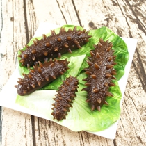 Simulation sea cucumber model fake large dried sea cucumber seafood hotel dishes display ornaments toys food props