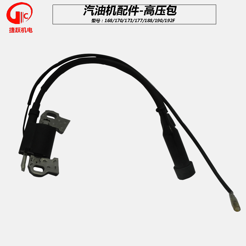 Petrol Dynamo Accessories Large full set of 168 170F188 190F2kw3kw High pressure pack ignition coil