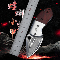 Outdoor Damascus Folding Knife Anti-Body Sharp Mini Portable Water Fruit Knife Carry-on Key Buttoned Express Small Knife