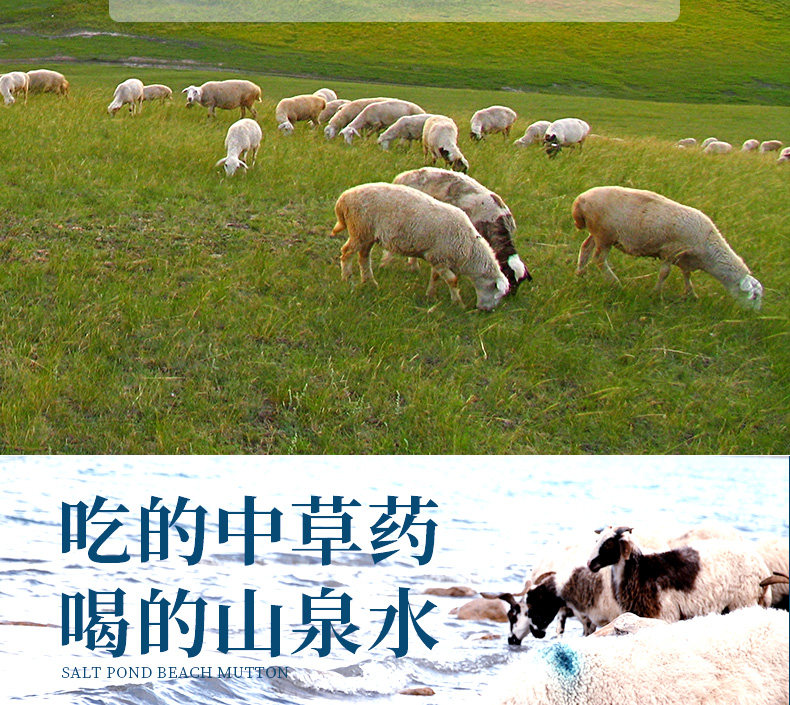 中国地理标志产品 6-8月盐池滩羊 羊后腿 4斤整 图5